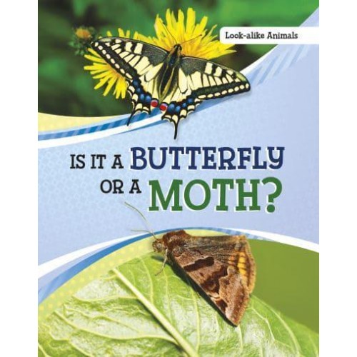 Is It a Butterfly or a Moth? - Look-Alike Animals