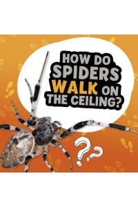 How Do Spiders Walk on the Ceiling? - Amazing Animal Q&As