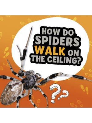 How Do Spiders Walk on the Ceiling? - Amazing Animal Q&As