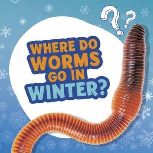 Where Do Worms Go in Winter? - Amazing Animal Q&As