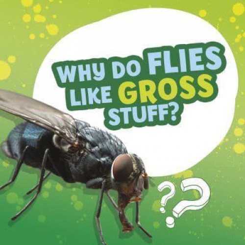 Why Do Flies Like Gross Stuff? - Amazing Animal Q&As