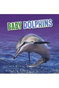 Baby Dolphins - Baby Animals