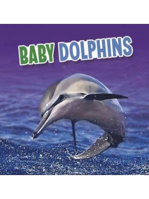 Baby Dolphins - Baby Animals