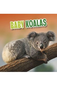 Baby Koalas - Baby Animals