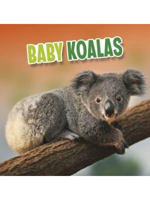 Baby Koalas - Baby Animals