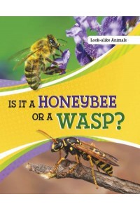 Is It a Honeybee or a Wasp? - Look-Alike Animals