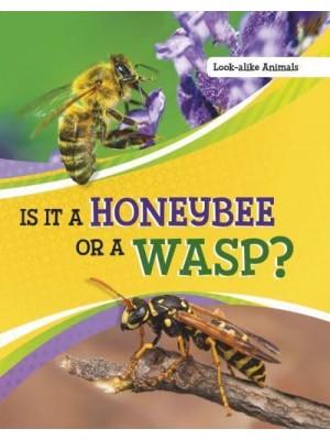 Is It a Honeybee or a Wasp? - Look-Alike Animals