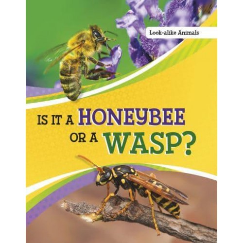 Is It a Honeybee or a Wasp? - Look-Alike Animals