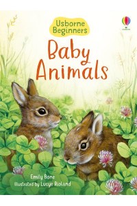 Baby Animals - Usborne Beginners