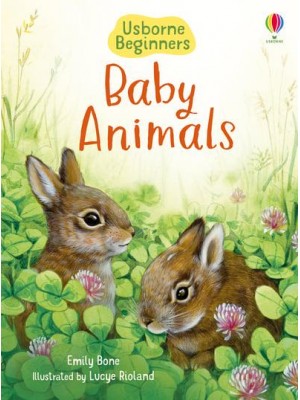 Baby Animals - Usborne Beginners