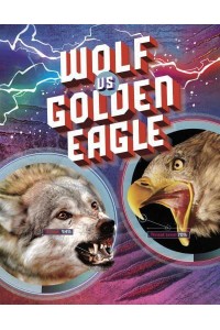 Wolf Vs Golden Eagle - Predator Vs Predator
