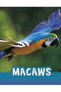 Macaws - Pebble Explore