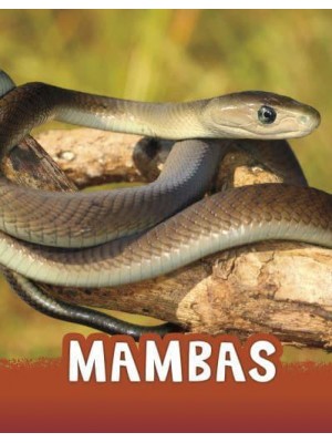 Mambas - Pebble Explore
