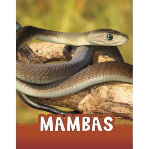 Mambas - Pebble Explore