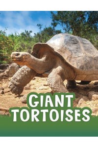 Giant Tortoises - Pebble Explore