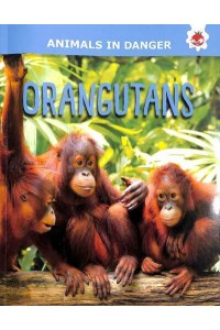 Orangutans - Animals in Danger