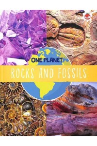 Rocks and Fossils - One Planet