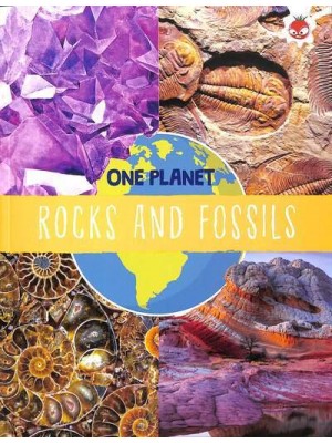Rocks and Fossils - One Planet