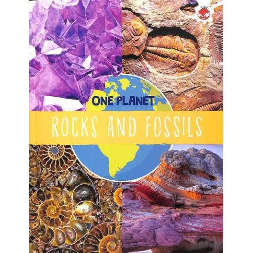 Rocks and Fossils - One Planet