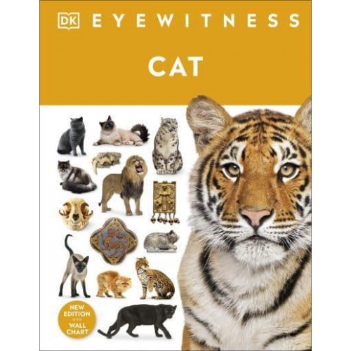 Cat - Eyewitness