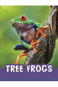 Tree Frogs - Pebble Explore