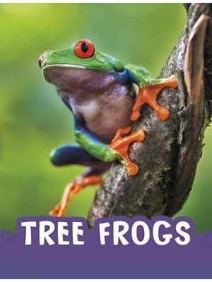 Tree Frogs - Pebble Explore