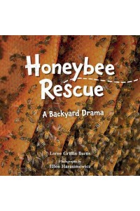 Honeybee Rescue A Backyard Drama