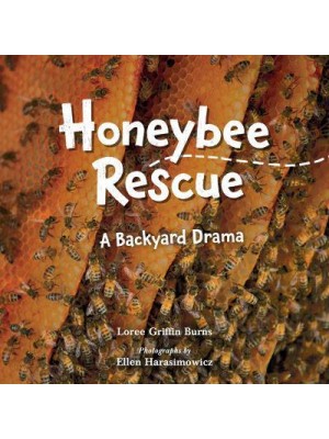 Honeybee Rescue A Backyard Drama