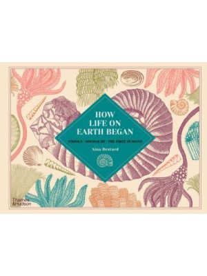 How Life on Earth Began Fossils, Dinosaurs, the First Humans