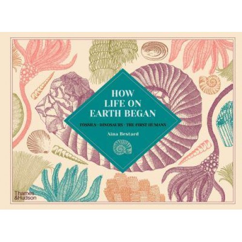 How Life on Earth Began Fossils, Dinosaurs, the First Humans