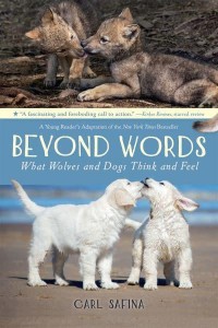 Beyond Words What Wolves and Dogs Think and Feel