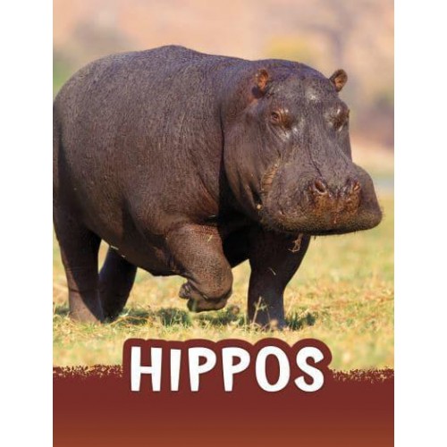 Hippos - Pebble Emerge