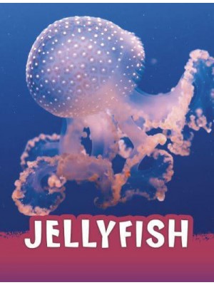 Jellyfish - Animals