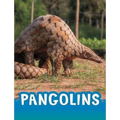 Pangolins - Pebble Explore