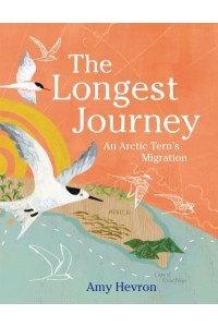 The Longest Journey An Arctic Tern's Migration