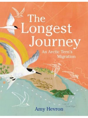The Longest Journey An Arctic Tern's Migration