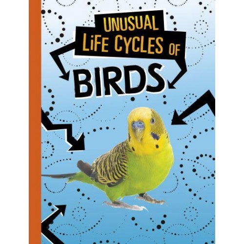 Unusual Life Cycles of Birds - Unusual Life Cycles