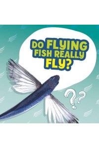 Do Flying Fish Really Fly? - Amazing Animal Q&As