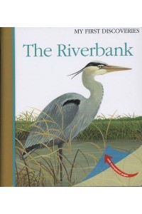 The Riverbank - My First Discoveries