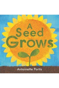 A Seed Grows