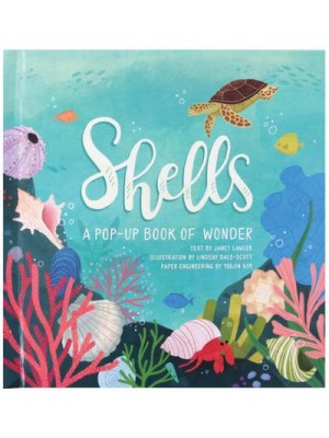 Shells A Pop-Up Book of Wonder - 4 Seasons of Pop-Up