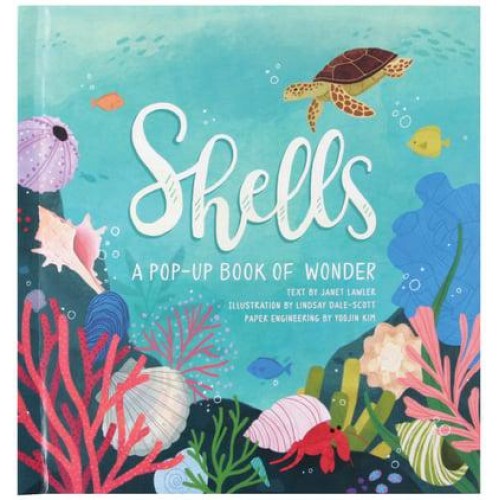 Shells A Pop-Up Book of Wonder - 4 Seasons of Pop-Up