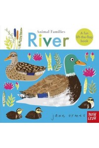 River A Fun Lift-the-Flap Book - Animal Families