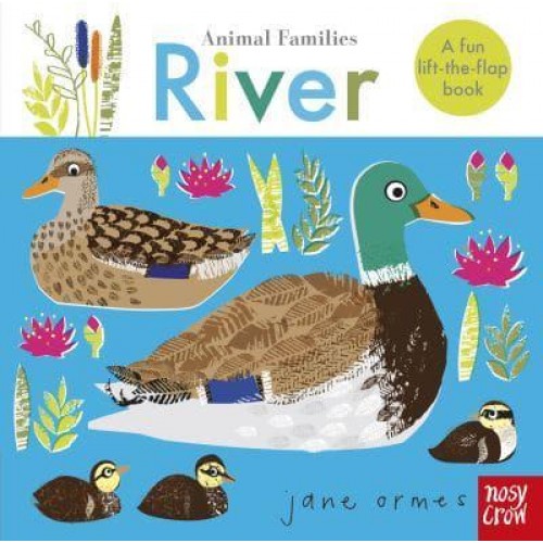 River A Fun Lift-the-Flap Book - Animal Families