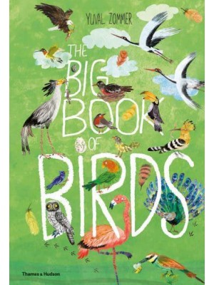 The Big Book of Birds - The Big Book Series