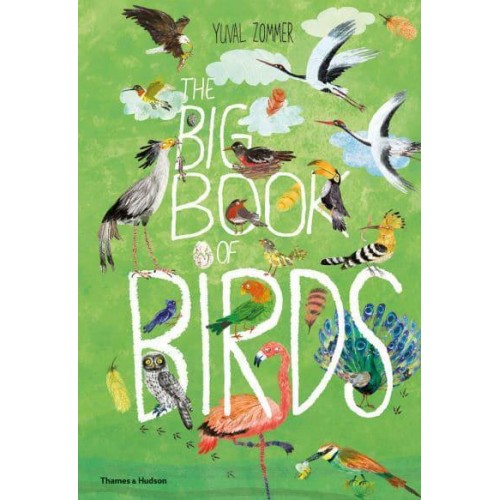 The Big Book of Birds - The Big Book Series