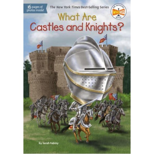 What Are Castles and Knights? - What Are...?