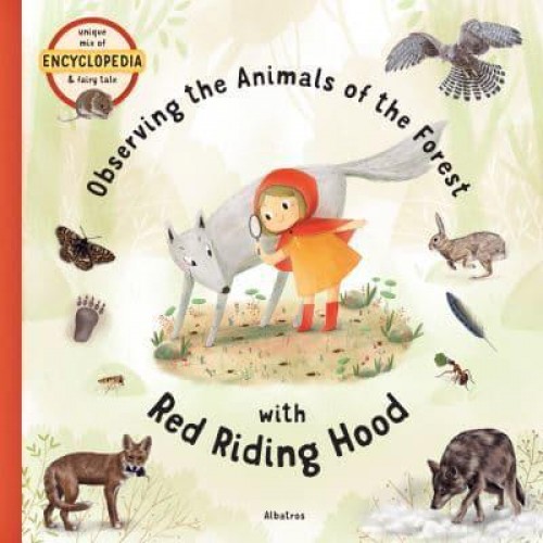 Observing the Animals of the Forest With Little Red Riding Hood - Fairytale Encyclopedia