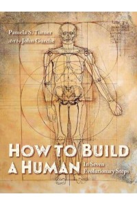 How to Build a Human In Seven Evolutionary Steps