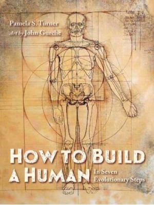 How to Build a Human In Seven Evolutionary Steps